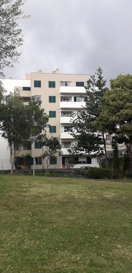 Funchal Petrolhead Apartment 0*, フンシャル